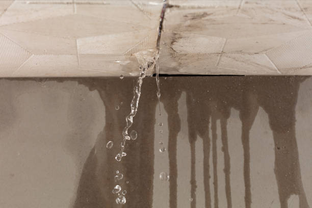 Professional Water Damage Restoration technician working in West Union, IA